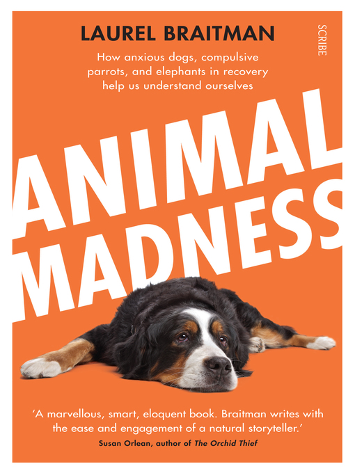 Title details for Animal Madness by Laurel Braitman - Available